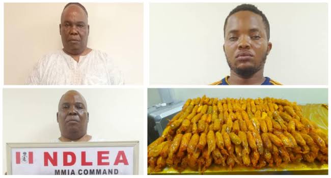 How High Priest Used Members For Drug Trafficking &#8211; NDLEA, HOTPEN