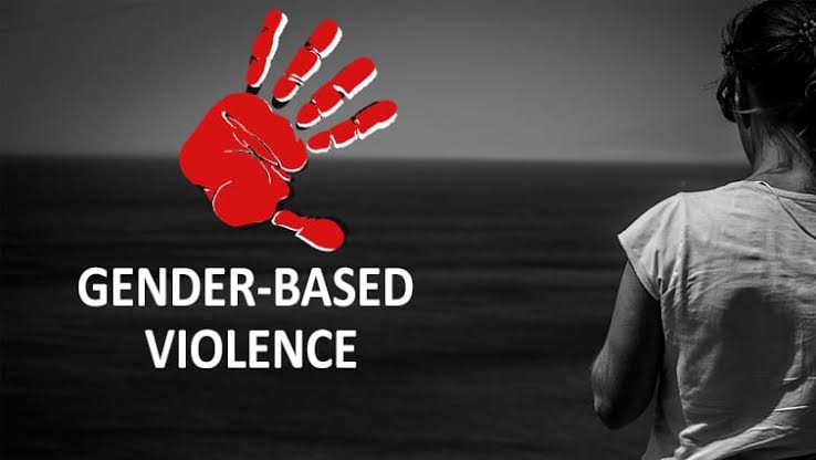 Stakeholders Raise Alarm Over Sexual, Gender-Based Violence In Kano, HOTPEN