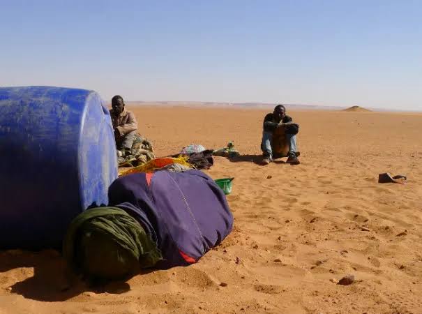 1,200 Nigerians Die In Sahara Desert, Mediterranean Sea In 2023 &#8211; IOM, HOTPEN