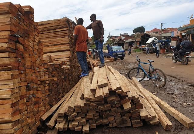 Timber sellers down tools in Bauchi, HOTPEN